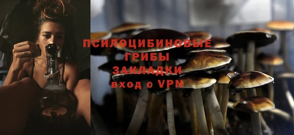 гидра Абаза
