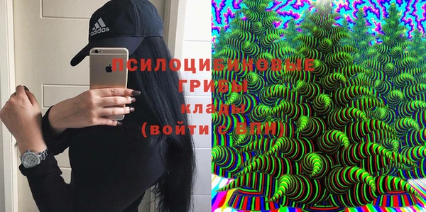 прущие грибы Алексеевка
