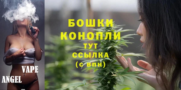 прущие грибы Алексеевка