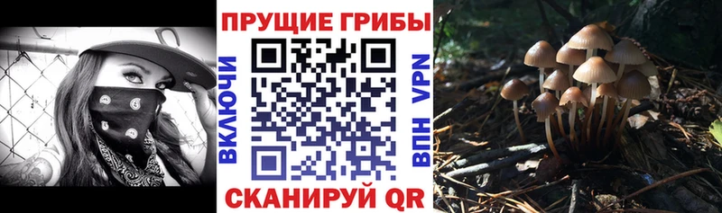 Псилоцибиновые грибы мицелий  ссылка на мегу ONION  Каменск-Уральский 